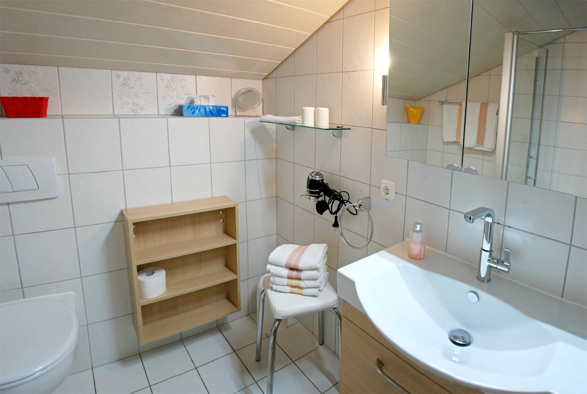 Badezimmer mit Dusche und Spiegelschrank